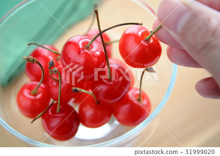 櫻桃櫻桃 31999020