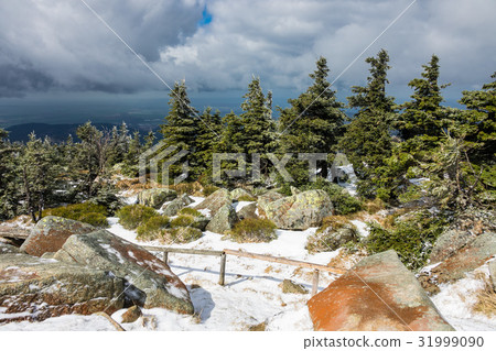 Landscape with trees in the Harz area, Germany. Landscape with trees in the Harz area, Germany. 31999090