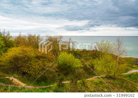Landscape on shore of the Baltic Sea 31999102