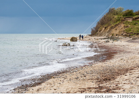 Walker on shore of the Baltic Sea 31999106