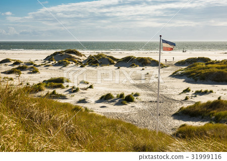 Dunes on the North Sea coast on the island Amrum 31999116