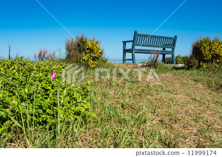 A bench on shore of the Baltic Sea 31999174