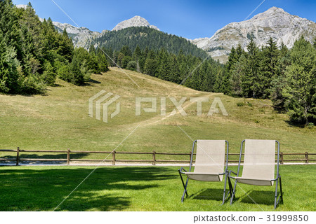 Two deck chairs on the meadow 31999850