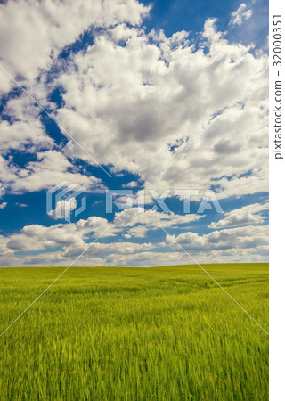 Cloudy sky over green grain field Cloudy sky over green grain field 32000351