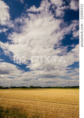 Cloudy sky over the field with harvested grain Cloudy sky over the field with harvested grain 32000352