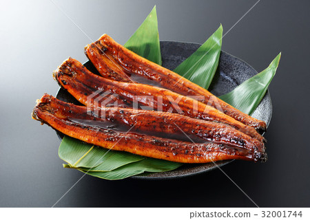 烤鰻魚的鰻魚 32001744