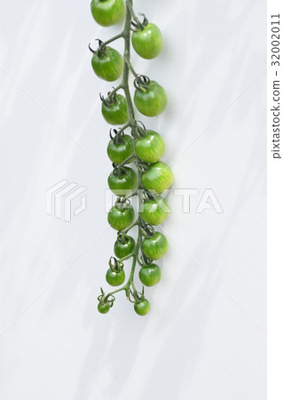 Beautiful cherry tomatoes sdgs sustainable natural environment food self-sufficiency food crisis Beautiful cherry tomatoes sdgs sustainable natural environment food self-sufficiency food crisis 32002011