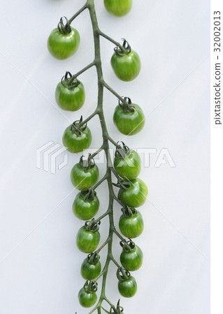 Beautiful cherry tomatoes sdgs sustainable natural environment food self-sufficiency food crisis 32002013