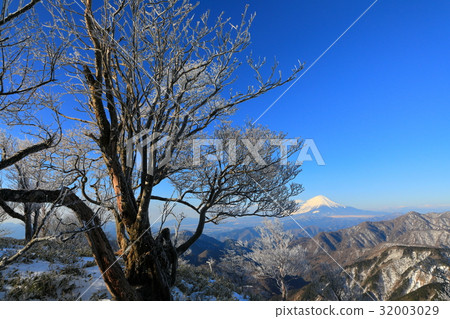 Tree river of Mt. Tanzawa ridgeline and Mt. Fuji Tree river of Mt. Tanzawa ridgeline and Mt. Fuji 32003029