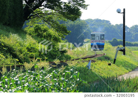 Hitachinaka Seaside Railway "Scenery along the line in late June" 32003195