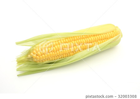 corn  32003308