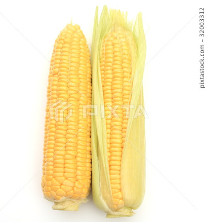 玉米 32003312