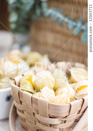 Cape gooseberry (Physalis) in basket Cape gooseberry (Physalis) in basket 32003715