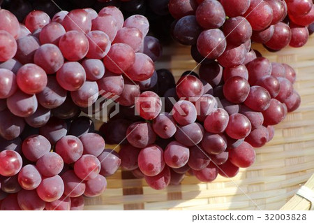 Grape  32003828