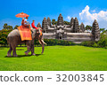 Tourists on an ride elephant tour the ancient  32003845