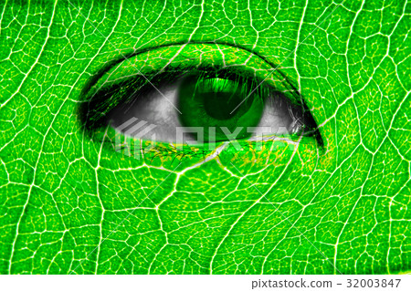 Close up of green eye and leaf texture on face Close up of green eye and leaf texture on face 32003847