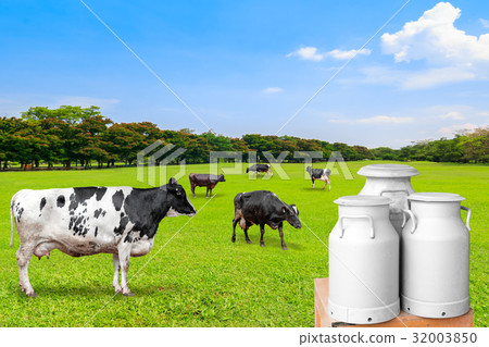 Tank container for milk with dairy cow Tank container for milk with dairy cow 32003850