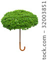 Umbrella shaped tree for environmental protection  32003851
