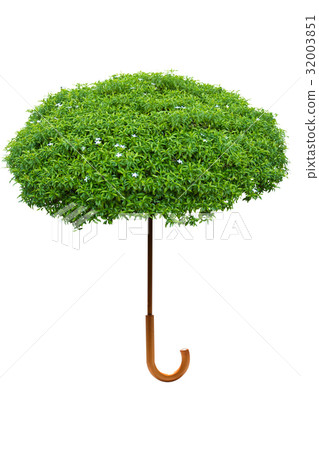 Umbrella shaped tree for environmental protection  32003851