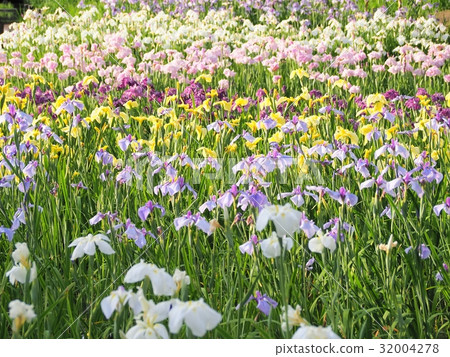 Flower shovel 32004278