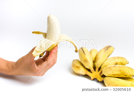 Hand holding small tropical banana on white 32005610
