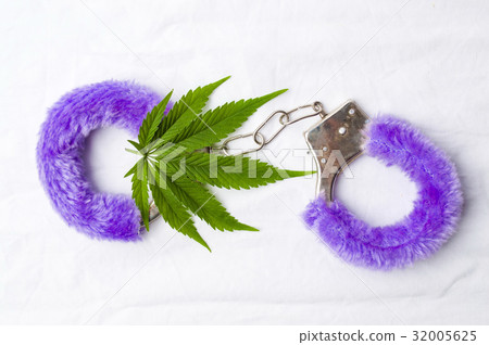 Marijuana plant and toy handcuffs 32005625