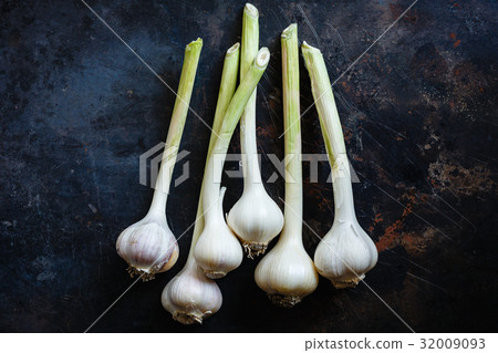 Garlic close up 32009093