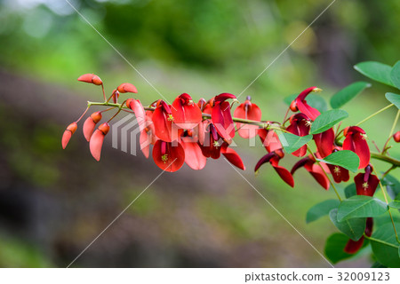 I love you I love you 32009123