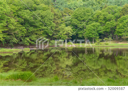 [Yamanashi Prefecture] Floating island of Mt. 32009387