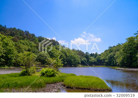 [Yamanashi Prefecture] Mt. Amari, the legendary Sakuraike 32009519