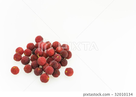 Fruit of a bamboo grove 32010134