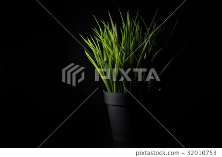 Forge green glass in black flower pot 32010753