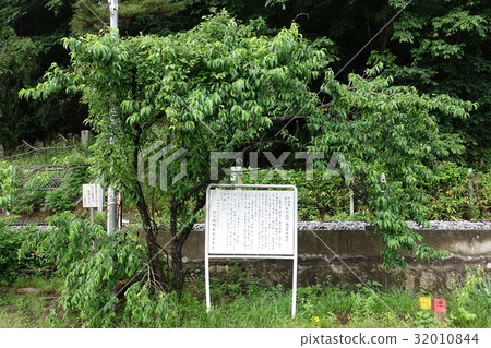 Hanging gutters and ruins of Tanahashi · Chichibu incident 32010844