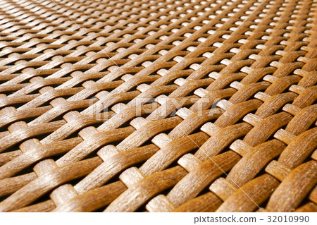 Wisteria Wisteria 32010990