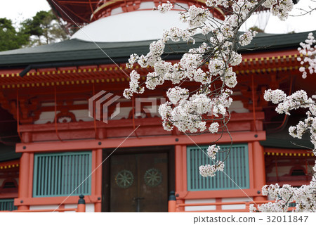 Nagano Zenkoji Kuu Kamigami Nagano Zenkoji Kuu Kamigami 32011847