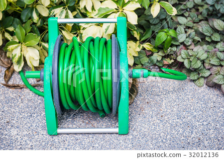 Roll the watering hose in the garden 32012136