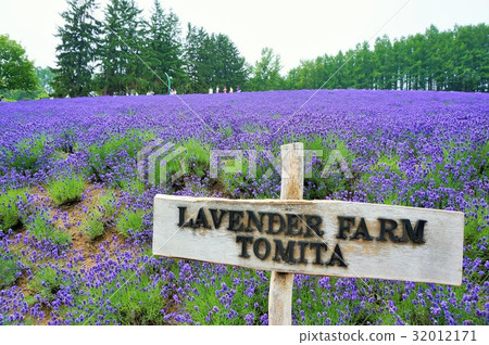 Farm Tomita Farm Tomita 32012171