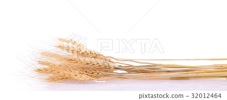 pearls barley grain seed on background 32012464