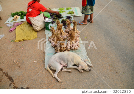 Northern village in Laos Morning non-cap morning market Woman selling crops and strolling dog nearby Northern village in Laos Morning non-cap morning market Woman selling crops and strolling dog nearby 32012850