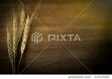 pearls barley grain seed on background 32014264