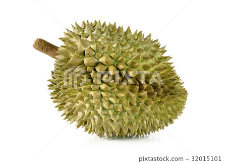 durian close up isolated on white background. 32015101