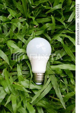 LED bulb - Energy and green nature LED bulb - Energy and green nature 32015572