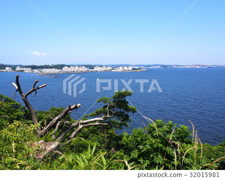 從島上看到的海 32015981