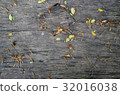 Wood and flowers scrap texture - Wallpaper 32016038
