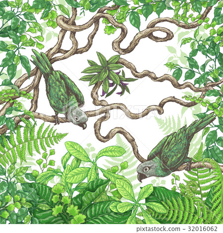 Green Parrots Sitting on Branches Green Parrots Sitting on Branches 32016062