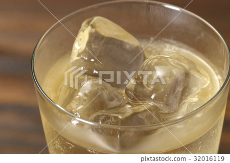 高球 高球 32016119