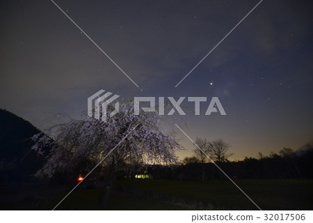 夜櫻桃和星空·西湖野鳥森林公園(山梨縣) 夜櫻桃和星空·西湖野鳥森林公園(山梨縣) 32017506