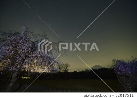 晚上開花和富士山和滿天星斗的天空·西湖野鳥森林公園(山梨縣) 晚上開花和富士山和滿天星斗的天空·西湖野鳥森林公園(山梨縣) 32017511