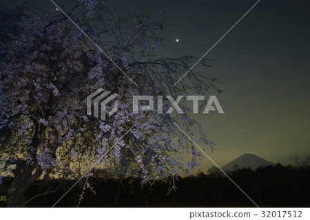 晚上開花和富士山和滿天星斗的天空·西湖野鳥森林公園(山梨縣) 晚上開花和富士山和滿天星斗的天空·西湖野鳥森林公園(山梨縣) 32017512