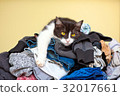 Cat Relaxing on Laundry 32017661